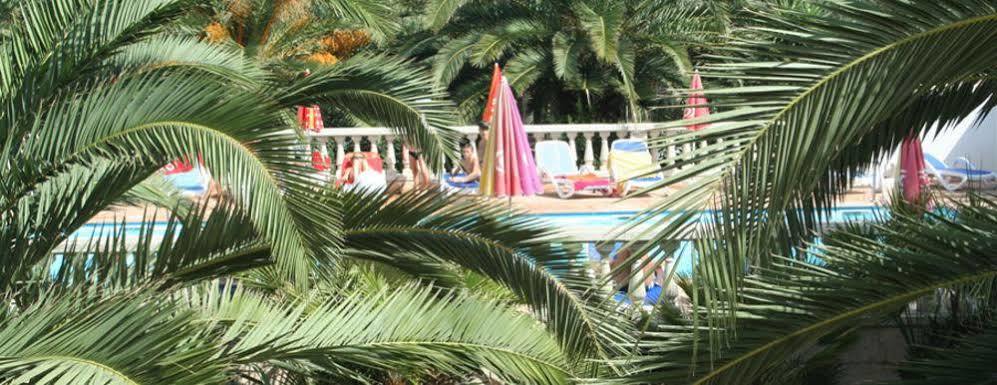 Residence Thalassa Calvi  Ngoại thất bức ảnh